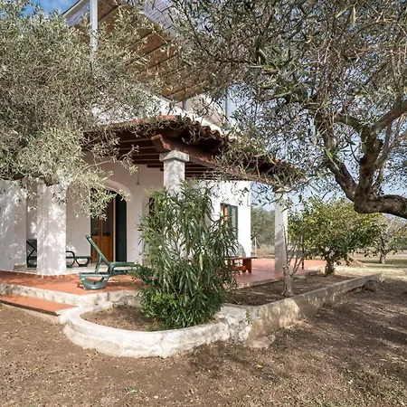 Francesco P Terra * オロゼーイ